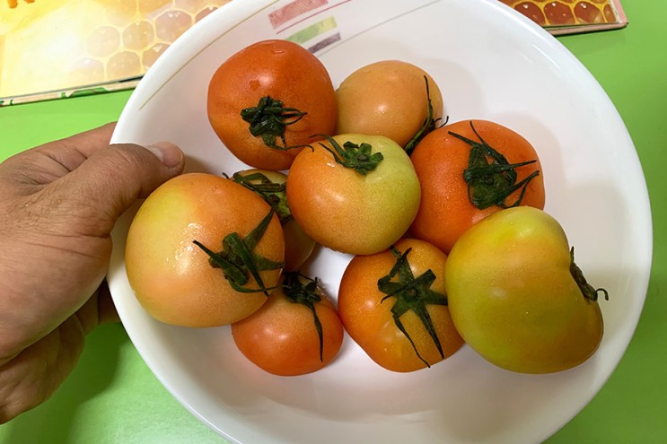 달고 맛있는 토망고 구매시 참고~ 맛과 냄새로 상한 것 구별하기!! : 네이버 블로그