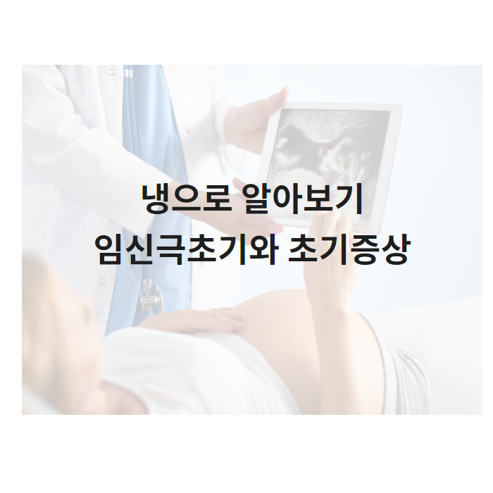 임신 1주차 증상 극초기부터 11주 초기까지 냉색깔과 냄새 : 네이버 블로그