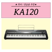 커즈와일 디지털피아노 KA120 KA-120 연습용 추천