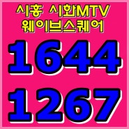 시흥 시화MTV 웨이브파크 상가 웨이브스퀘어 모델하우스 정보