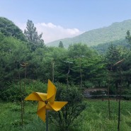 남한산성 주말 산행, 지난 7월 초 꽃동산 유아숲을 지나~
