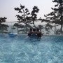 대천 펜션 우정여행 원픽 루프탑 수영장이있는 라바풀빌라