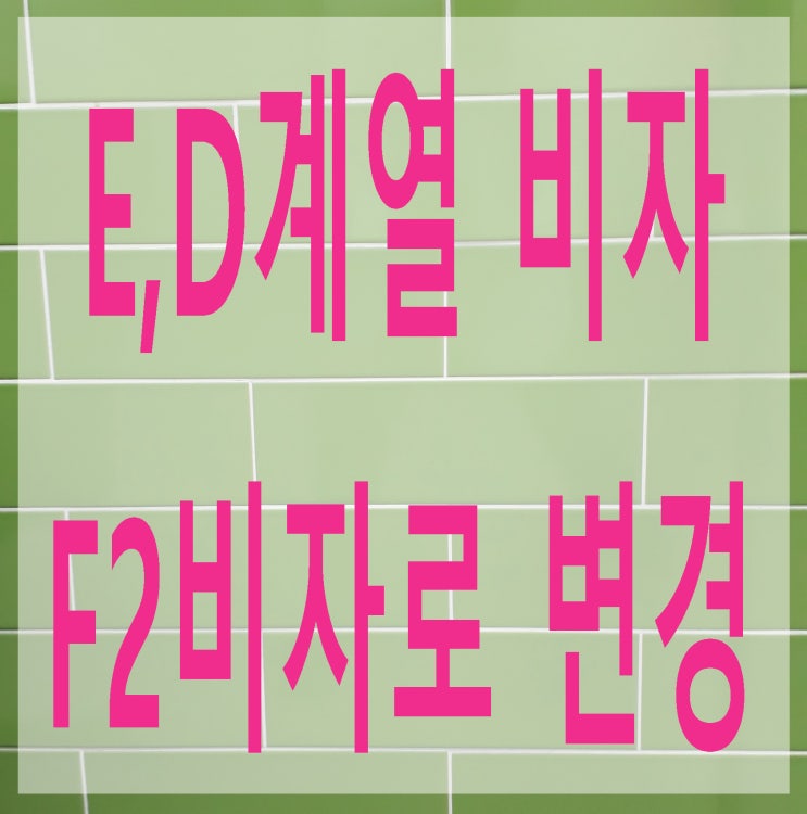 E계열 E1 E2 E3 E4 E5 E7 D계열 D5 D6 D7 D8 D9 비자에서 F2 F27 F299 비자로 변경하기