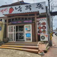 전주 금암동 낙지덮밥 맛집 / 전주 낙쭈족