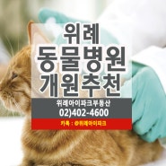 위례 메디컬존 동물병원 개원추천~!