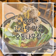 방이 먹자골목 24시 감자탕 맛집 ' 오동나무집 감자국'