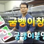 굼벵이창업 1세대 F1 굼뱅이종자분양 전라남도 꽃뱅이 농장 납품 성유굼벵이