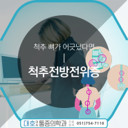 수영구정형외과 척추뼈가 어긋났다면 척추전방전위증