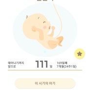 [ 예비맘 임신기록 ] 24주차 / 7개월 입성 / 환도선다 / 끝나지 않은 한포진 / 아랫배 통증 / 근육통
