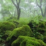 제주 여행 가볼만한곳<교래자연휴양림 오름산책로를 다녀오다>