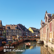 [프랑스 #15] 콜마르 (Colmar), 하울의 움직이는 성의 배경이 된 그림 같은 운하 마을