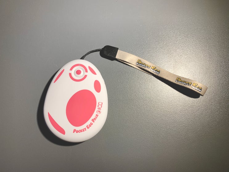 포켓몬고 포켓 에그 페어(Pocket Egg Pair) 네이버 블로그
