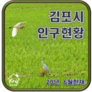 김포시 인구현황 [20년 6월현재]