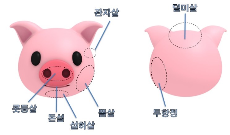 돼지 뒷고기 부위는 어디서 나올까 (feat. 뒷고기의 정체) : 네이버 블로그