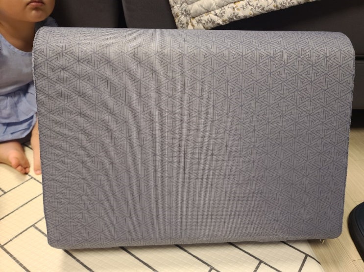 바른 자세를 위한 의자허리받침,요추받침대 모즈스웨덴 콘쿠션 사용 후기 : 네이버 블로그