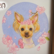 강아지 그림, 반려동물 초상화 은하그림 두번째 주문하는 강아지 초상화