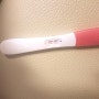 임신 6주차 : 임신 확인