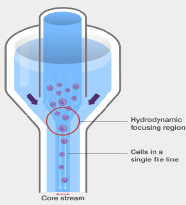 [리뷰] Principles &clinical applications of flow cytometry : 네이버 블로그