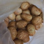 감자요리 : 포슬포슬 맛있게 감자 삶는법
