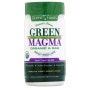 Green Foods 그린 마그마 새싹 보리 주스 80g Magma Barley Grass Juice, 1개