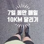 매일 달리기10km 마라톤 7일 간의 기록 및 변화 효과
