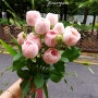 노량진꽃집 야외 웨딩 사진을 위한 부케 스타일 꽃다발