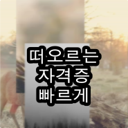 사회복지사1급자격시험대비 추가할인