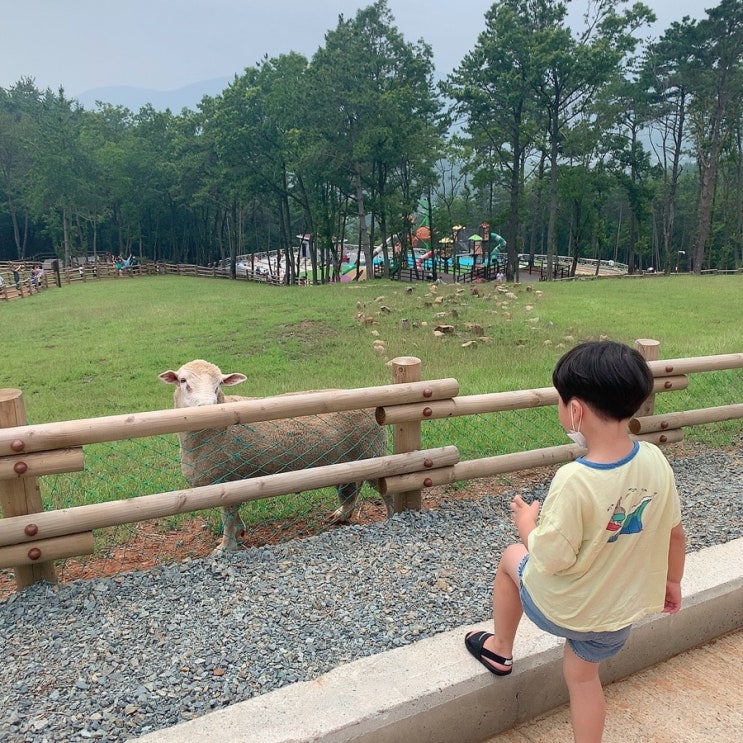 거제아이랑가볼만한곳/숲소리공원/구조라해수욕장