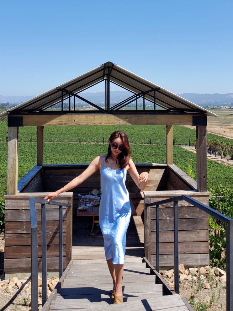 [미국 일상] 샌프란 근교 나파/소노마 와이너리, Viansa Sonoma Winery, 아웃도어 다이닝, 이탈리안 피크닉