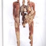 인체 해부학의 인체구조에 대한 사진