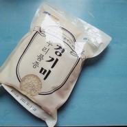 경기도 농업기술원에서 심혈을 다 쏟아 개발한 신품종 우리쌀, 가와지1호 맛좀보다! 체험리뷰 시식후기