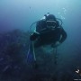 제주도다이빙| 블루인다이브 7월 13일 문섬 펀다이빙