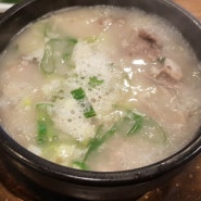 김해 내외동 돼지국밥 맛집 금보가 잡내없는 담백한 국물