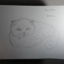 홍대집사의하루에서 그린 고양이손그림