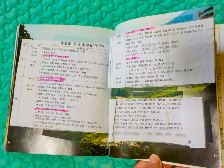 울릉도 여행 준비 팁, 패키지 여행vs 자유여행 비교 : 네이버 블로그