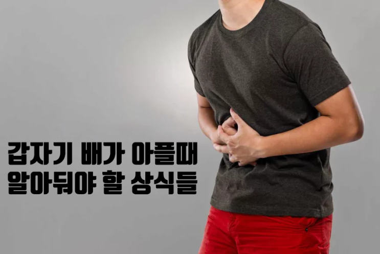 갑자기 배가 아플때, 배 위치별 통증에 대해서 알아볼게요 : 네이버 블로그