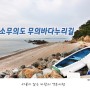 인천 섬 여행 소무의도 무의바다누리길 트래킹