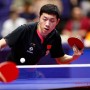 [알고 봐야 스토리가 보인다] ITTF 선정 역대 일본 오픈 최고 성적 TOP 5.