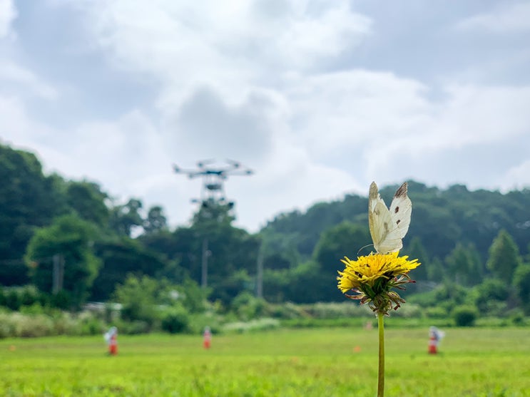 드론 조종자준수사항 청주증평음성진천드론국가자격증교육 : 네이버 블로그