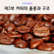 [커피공부] 제3강 커피의 구조와 품종
