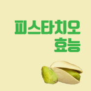 피스타치오 효능, 매일 한줌씩!