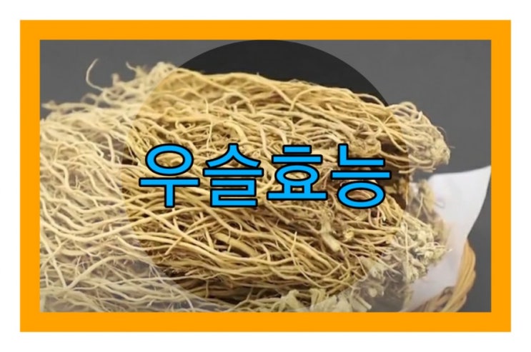 우슬 뿌리 효능 우슬묵 먹는방법 부작용 : 네이버 블로그
