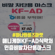 애니케어KF-AD식약처인증비말차단용마스크 840원! 사은품 추천