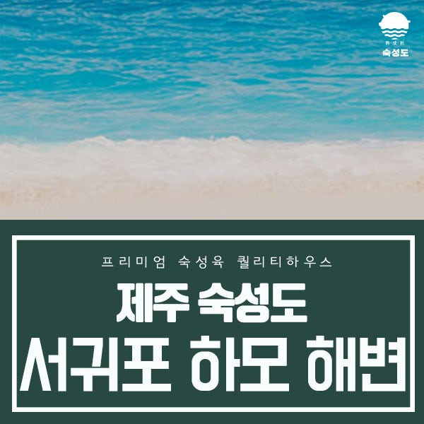 서귀포 하모 해변 이용안내와 주변관광지 : 네이버 블로그