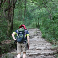 두번째 산행, 서울 근교 청계산 등산(청계산입구 → 옥녀봉 →매봉정상)