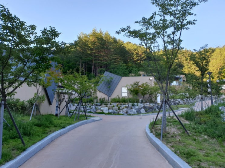 울진여행 숙소 독채 빌라 금강송 에코리움 : 네이버 블로그