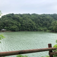 울산 북구, 박상진호수공원 ,울산산책공원