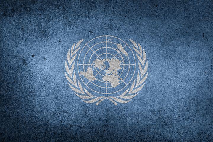UN, 국제기구로의 첫 발자국, 입사전략 : 네이버 블로그