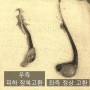강아지 잠복고환 (피하) [서울 88 동물의료원 천안동물병원]