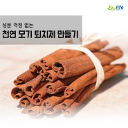 초간단! 천연 계피 모기퇴치제 스프레이 만드는법